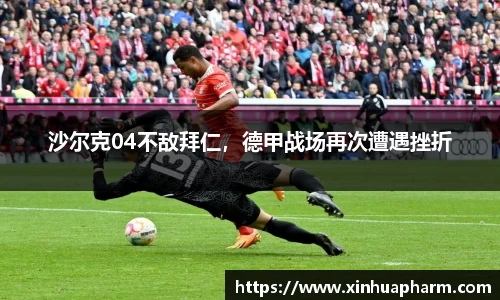 HAHABET官网