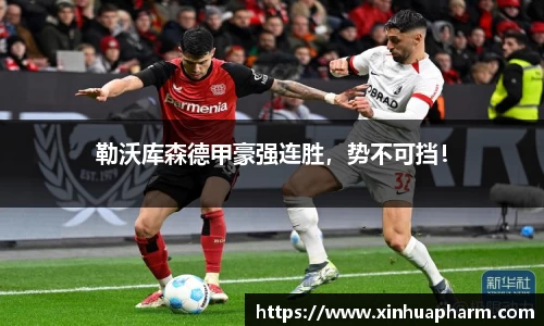 HAHABET网址