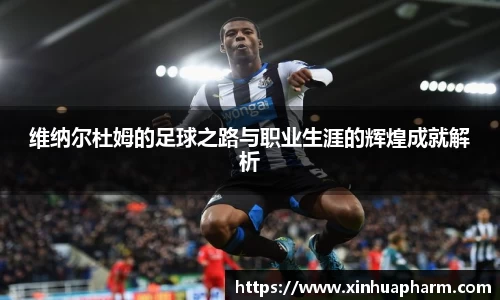 维纳尔杜姆的足球之路与职业生涯的辉煌成就解析