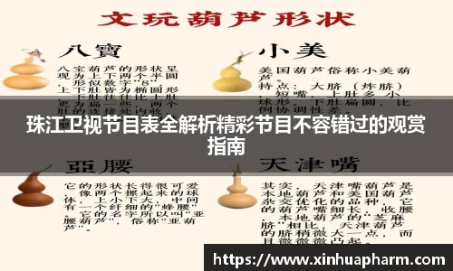 珠江卫视节目表全解析精彩节目不容错过的观赏指南
